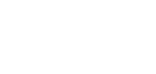 logisco_ia_blanc